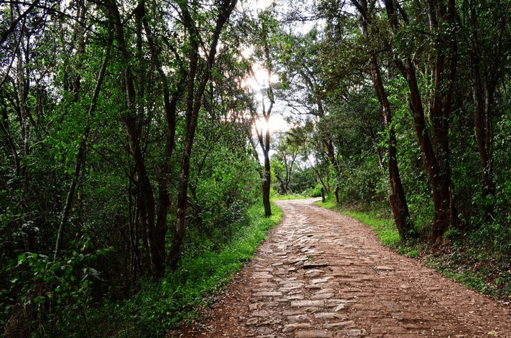 OLOOLUA NATURE TRAIL