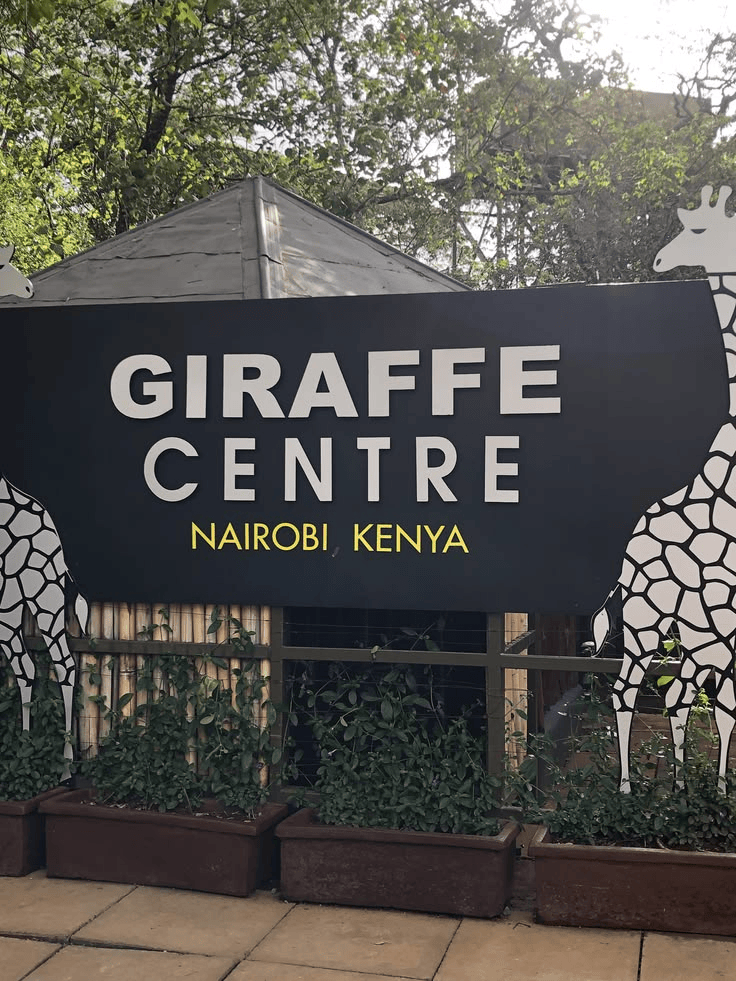 GIRAFFE CENTRE